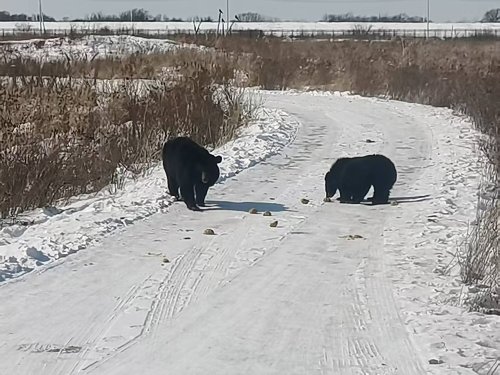 微信圖片_20260327142327_457_91