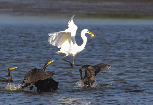 微信圖片_2026-04-13_164244_308