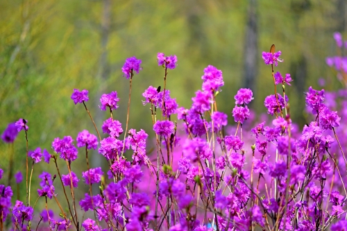 微信圖片_2026-04-24_192331_650