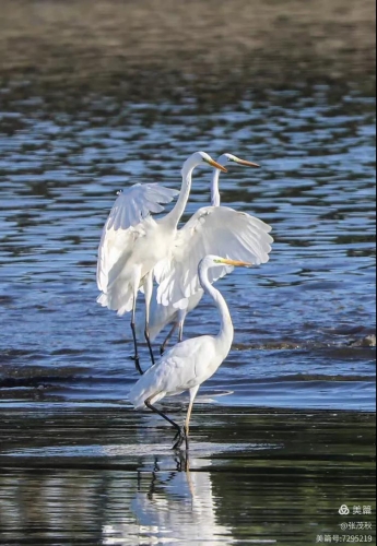 微信圖片_2026-04-27_162759_478